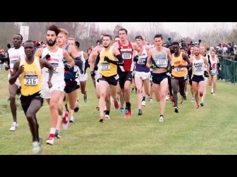 Ole Miss Cross Country: NCAA Championships (2016)