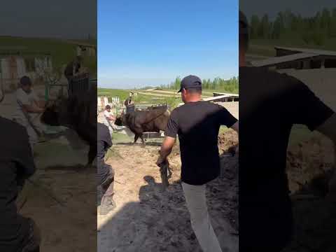 18 апреля 2026 г.