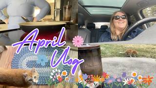 April Vlog | Solo Weekend | April 10th - 12th