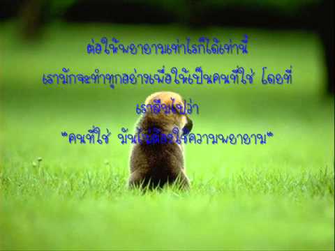 คลิกเพื่อดูคลิปวิดีโอ