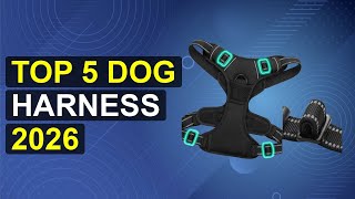 Top 5 Dog Harness 2026 | Pawsome Dog Harness
