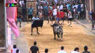 preview picture of video 'Toros calle Sant Roc 2012 - La Vilavella (Villavieja - Castellon) Bous al carrer [Toros FJGNtv]'