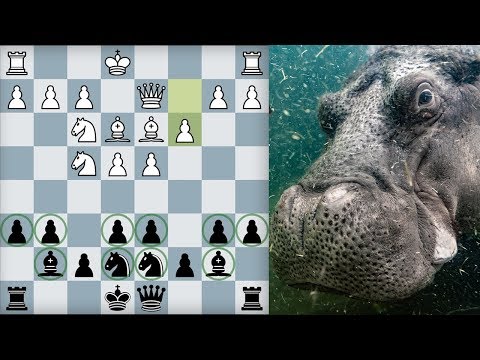 Don't Mess With The Hippo