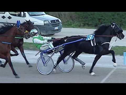 Aversa trotto 22 Febbraio 2020 - 4° Corsa