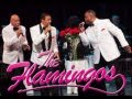 You'll Never Find - The Flamingos (2013 version)