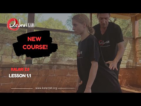 Lesson 1.1 | LEARN KALARI ONLINE | kalarilab 2.0 | NEW COURSE!