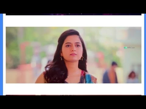 hathi vs ut ♥️♥️ @munnakushwaha