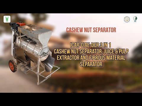 3-in-1 Cashew Nut Separator Machine | ICAR-DCR Technology Demonstration