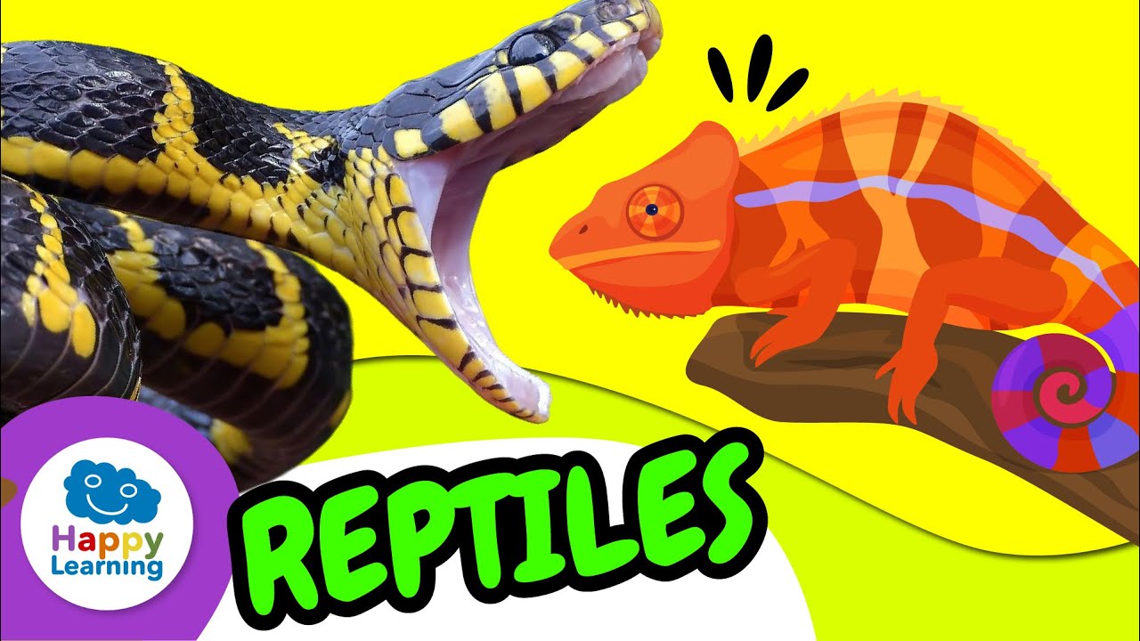 🔴 LIVE: 🐍 REPTILES | Characteristics, Fun Facts & Types! | Educational Video for Kids