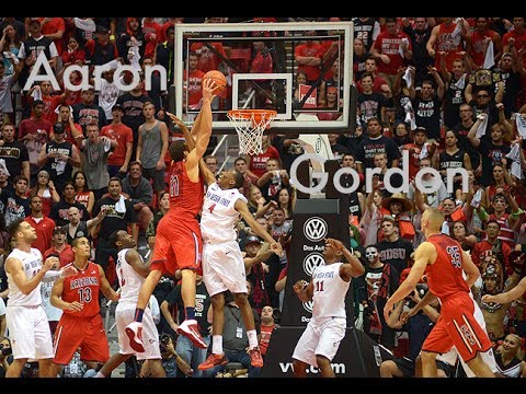 Aaron Gordon, NBA Draft Scouting 2014