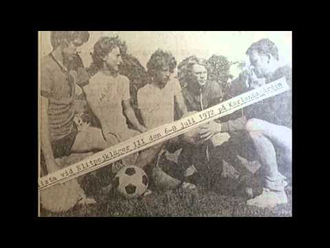 Gräsplanen hemmavid