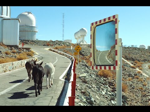 Perfectly a Strangeness