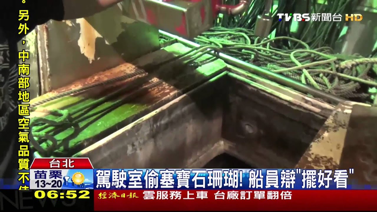偷藏3百萬珊瑚! 海巡人員登船查緝