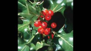 Hanson- Rocking Around The Christmas Tree