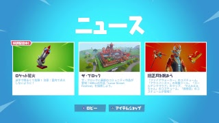 【絶滅危惧種・無言配信者のFORTNITE】勝ちたい人集まれ～参加形するよ！！