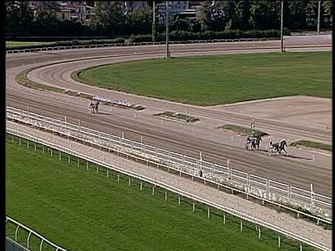 Trotto 25/10/2019 - prova di qualifica