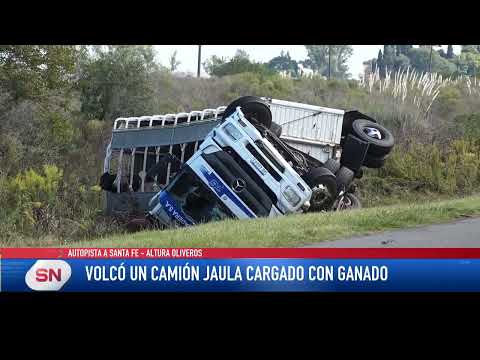 Volcó un camión jaula cargado con ganado. Autopista Rosario Santa Fe altura Oliveros.