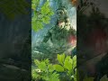 Mahadev Full Hd WhatsApp Status Karpur Gauram Karunavtaram Status Mahadev Shiv Mahakal Shorts