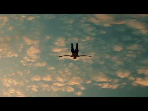 SZPILA - SPADAM (prod. dvmbo11)