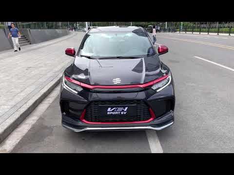 Thumbnail for ALL NEW 2021 HONDA EVERUS VE-1 Sport Walkaround by Everus