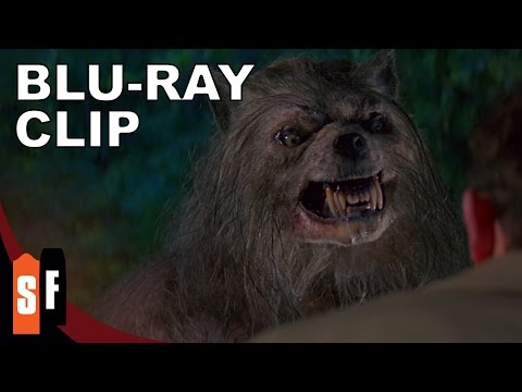 Bad Moon (1996) - Clip 2: Nice Doggy! (HD)