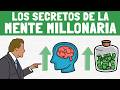 Resumen Completo Del Libro Los Secretos De La Mente Millonaria T Harv Eker