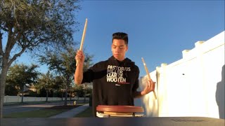 Backpfeifengesicht - Animals As Leaders (snare cover)