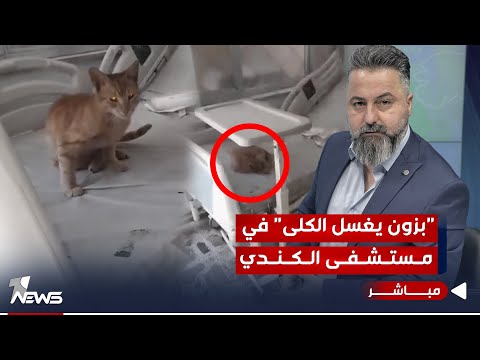 شاهد بالفيديو.. مباشر | "بزون يغسل الكلى" في مستشفى الكندي | بمختلف الاراء مع قحطان عدنان