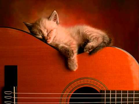 FRANCIS ROSSI SLEEPING ON THE JOB