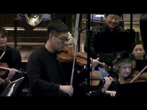 The Lark Ascending - Click to play