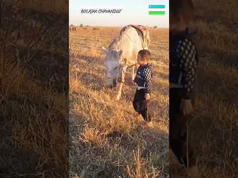 25 января 2026 г.