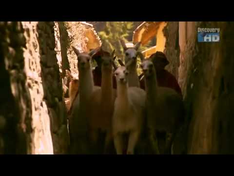 Austin Stevens - Unheimlicher Amazonas (1/4)