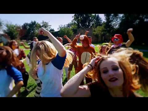 DualXess feat  Celina   Hände Nach Oben (We Are Basstards Mashup) Teaser