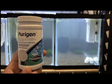 Using Seachem Purigen to clear up a cloudy tank