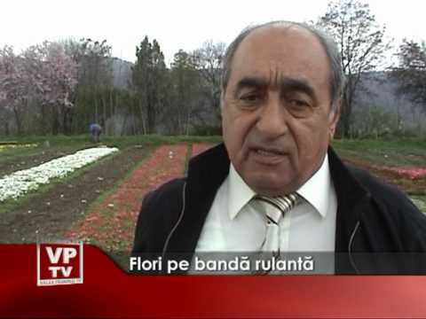 Flori pe bandă rulantă
