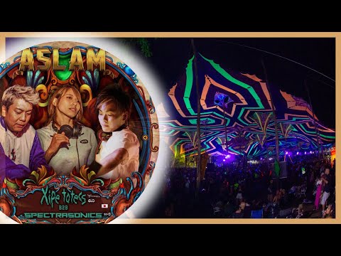 SPECTRA SONICS vs XIPE TOTECS @ ASLAM 2022 🦁🇯🇵 [MELHORES MOMENTOS]