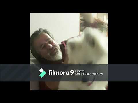 Rade Djurdjevac - Mama Lu