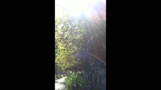 Hauschka - Sanzhi Pod City