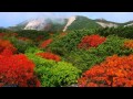 Richard Clayderman - Dust In The Wind (Released ...