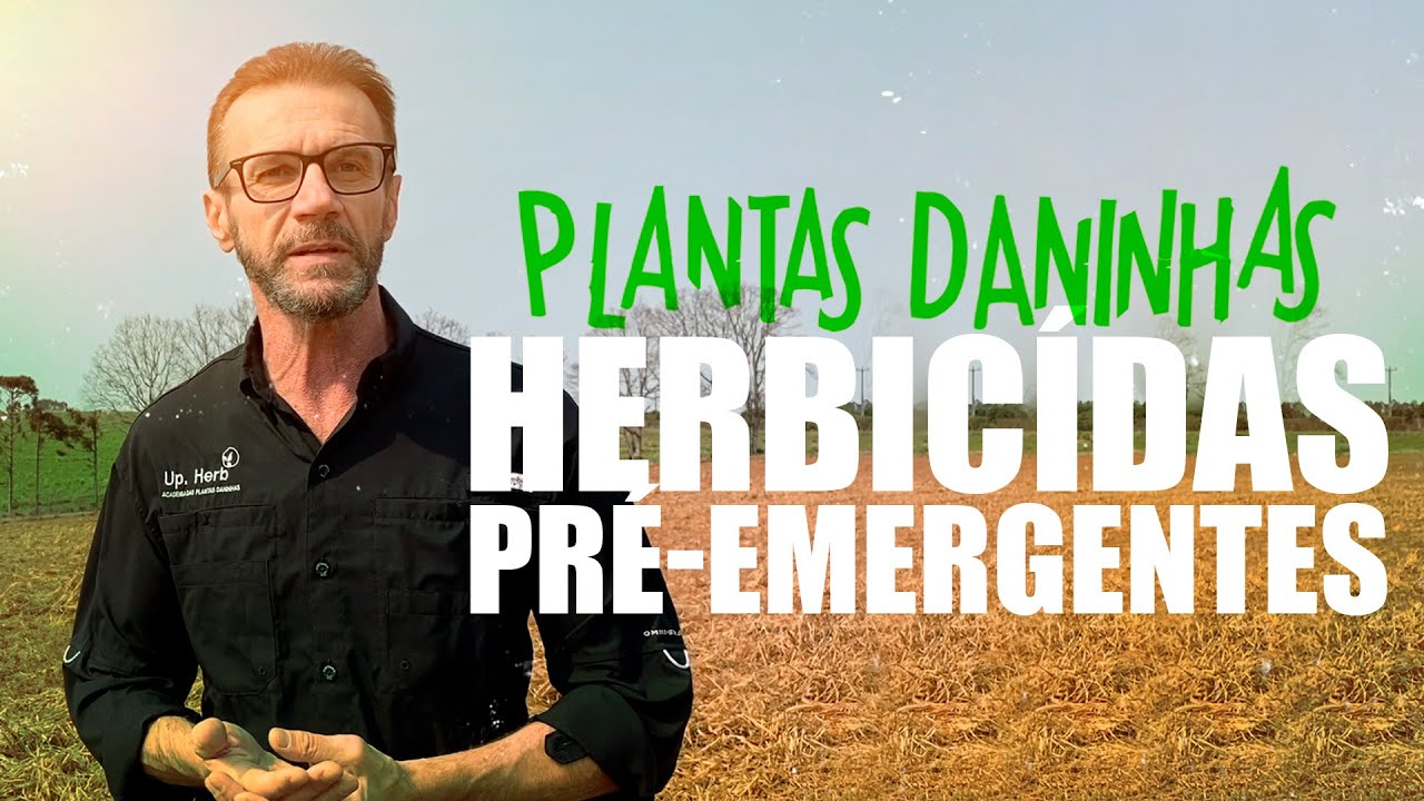 Uso de herbicidas pré-emergentes no Milho