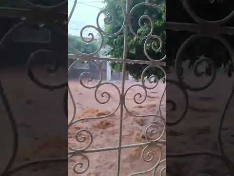 MUITA CHUVA - CÍCERO DANTAS BAHIA