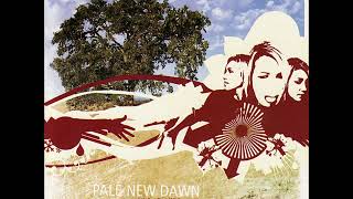 Pale New Dawn - Deadly Grey