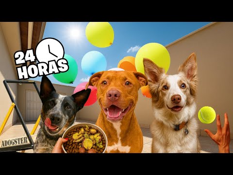 The Trio Already Wakes Up and Using the Treadmill | First Video of the Year 🤩