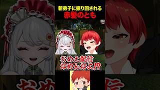 新弟子のクセが強すぎる #赤髪のとも #ストリヌ
