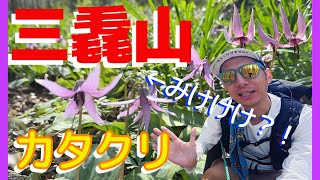 In spring, Mt. Miyama is full of fairies! Dogtooth violets bloom all over the place♪ Enjoy spring...