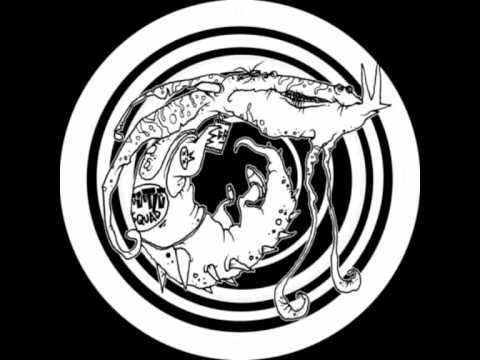 The DSC (Stivs & Ed Cox) - Wicked Act