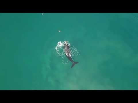 Dj Artak ft Ángel Falls - Frozen Tears (Vetlove & Mike Drozdov Remix) Retro Mix Vídeo Edit