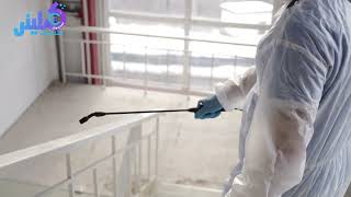 شركة مكافحة حشرات شمال الرياض