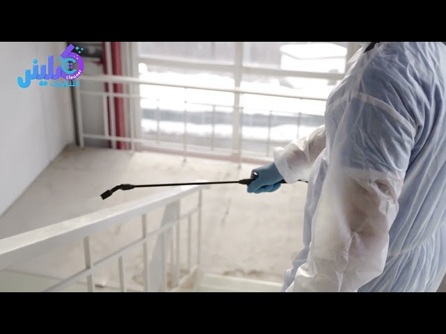شركة مكافحة النمل الابيض بجدة