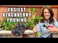 Prune Blackberries The Easiest Way-Don't Overcomplicate!